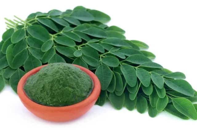 Jak pić herbatę moringa, aby maksymalnie wykorzystać jej korzyści Jak pić herbatę moringa, aby maksymalnie wykorzystać jej korzyści